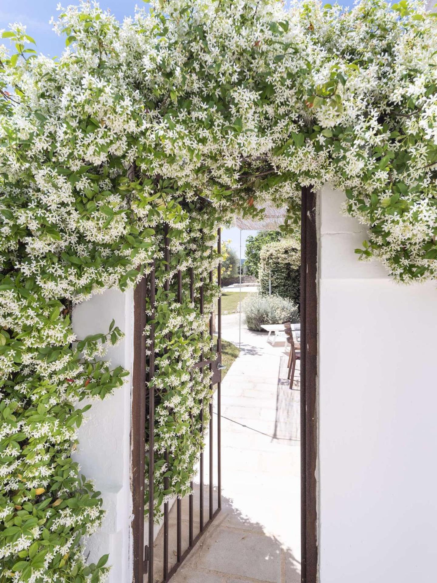 Masseria Alchimia Φαζάνο Εξωτερικό φωτογραφία